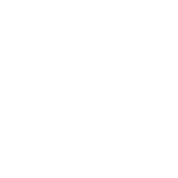 PW Logo